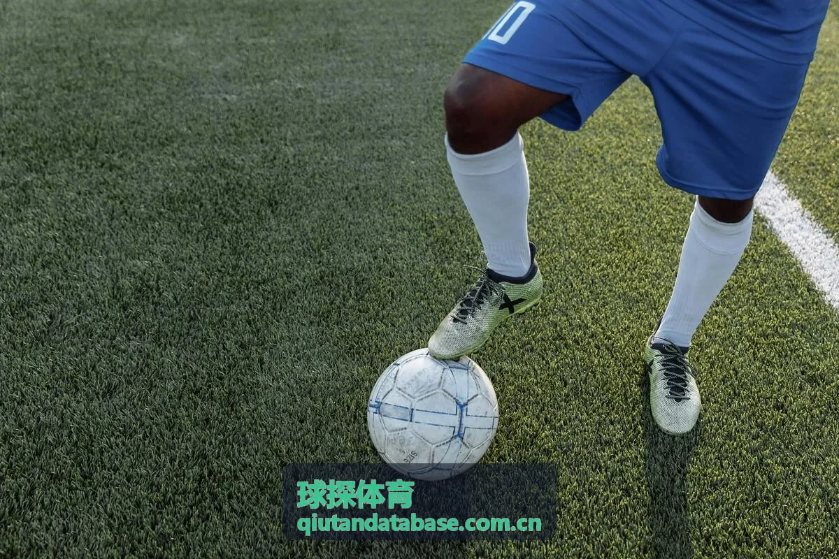 球探体育中国代表团